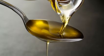 Harvard destaca los beneficios para la salud del aceite de oliva