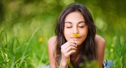 Cómo entrenar el olfato puede ayudar a la salud mental