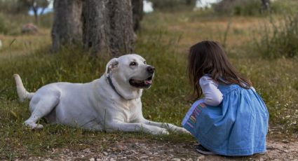 Los beneficios que las mascotas le traen a los niños con déficit de atención