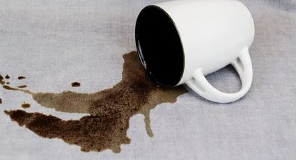 ¡En el primero intento y sin refregar! Gran truco para quitar las manchas de café de tus sillones