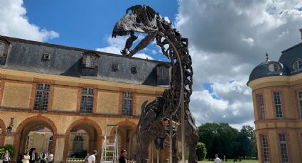 Fósil del dinosaurio más grande jamás puesto a la venta se subastará en Francia