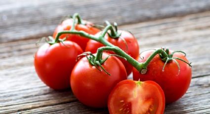 Descubre cómo conservar los tomates frescos por más tiempo