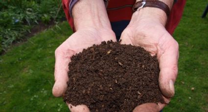 Cómo hacer tu propio compostaje casero para tu jardín