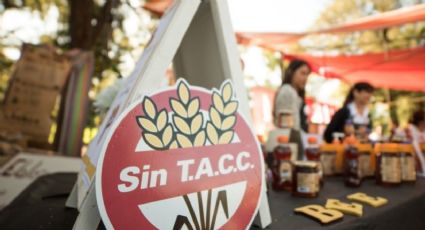 Consejos para una alimentación sin TACC y libre de gluten