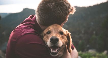 Así influye en tu cerebro el tiempo de calidad que tienes con tus mascotas