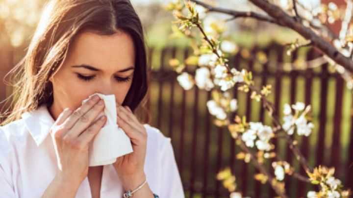 Con solo dos ingredientes, haz este remedio casero para aliviar los síntomas de la alergia