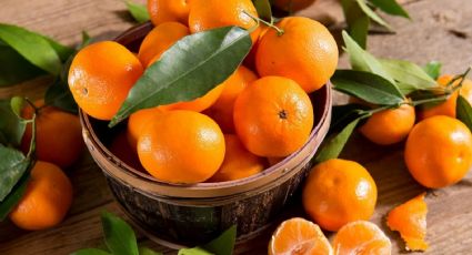 Estos son los beneficios que la mandarina puede otorgarle a tu organismo