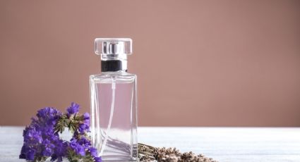 ¿Tienes planta de lavanda en tu casa? Haz este aromatizante casero ultra sencillo