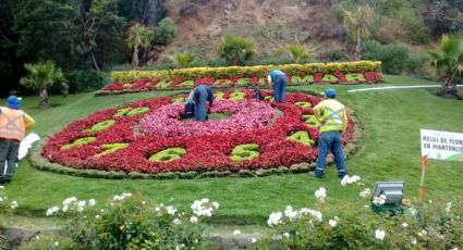 Vándalos provocan millonarios daños en el icónico reloj de Viña del Mar