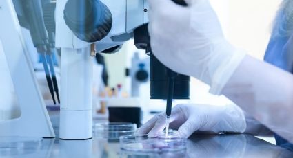 ¡Histórico! Así nació el primer bebé con una fecundación in vitro controlada por un robot