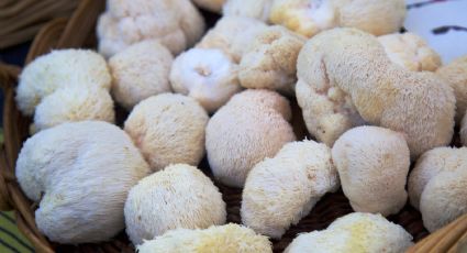 El alimento que sorprende a la ciencia: podría regenerar neuronas y fortalecer la memoria