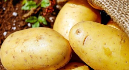 Este truco transforma la papa en un superalimento al aprovechar todos sus nutrientes
