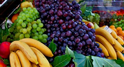 Descubre la fruta que se volvió tendencia por sus beneficios para retrasar el envejecimiento