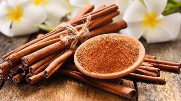 La canela: un elemento con propiedades curativas