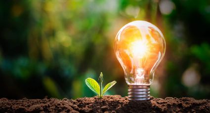 Ahorra energía en casa sin sacrificar comodidad: hábitos simples que marcan la diferencia