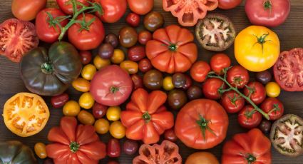 El tomate: el superalimento camuflado de fruta y cargado de secretos