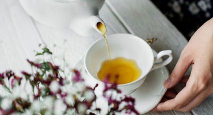 Los expertos indican cuál es el mejor momento del día para un té blanco