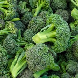 Conoce cuál es la mejor forma de cocinar el brócoli para aprovechar sus propiedades