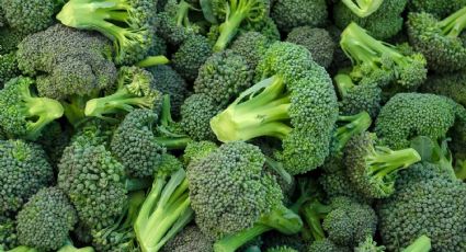 Conoce cuál es la mejor forma de cocinar el brócoli para aprovechar sus propiedades