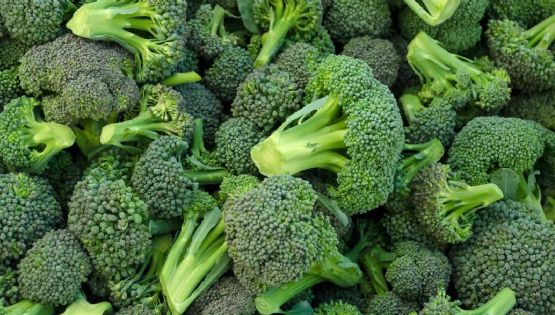 Conoce cuál es la mejor forma de cocinar el brócoli para aprovechar sus propiedades