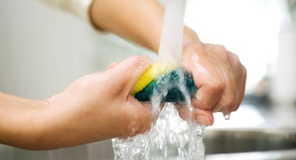El secreto mejor guardado para una esponja libre de bacterias