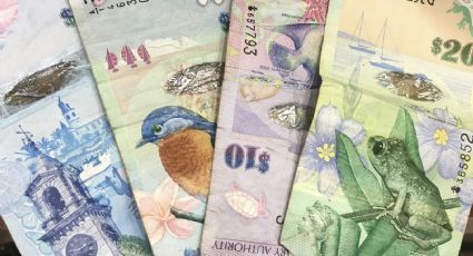 Pagan hasta 700 mil pesos por estos billetes codiciados de Chile