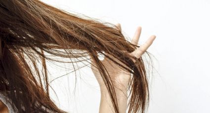 Recupera tu cabello del daño solar y la humedad: el plan de rescate que necesitabas