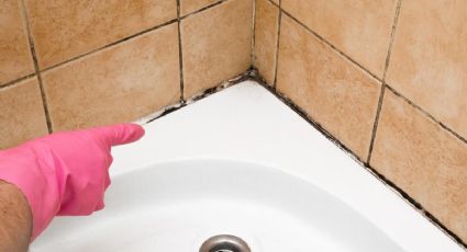 Adiós al moho: los trucos más eficaces para un baño limpio y sin riesgos