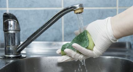 ¿Cada cuánto se cambia la esponja de cocina? Esto dicen los especialistas