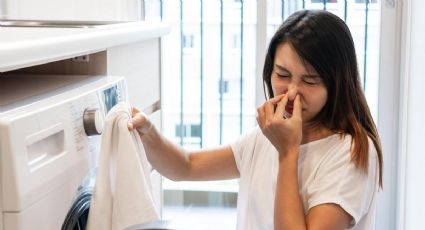 Ropa con olor a humedad: este es el truco definitivo que deja tus prendas como nuevas