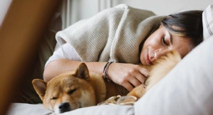 Dormir con tu mascota: lo que realmente le pasa a tu cuerpo, según la ciencia
