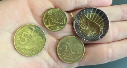 Las monedas chilenas por las que pagan hasta 250 mil pesos
