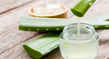 Beber aloe vera antes de dormir: ¿ritual de moda o un aliado definitivo para el descanso?