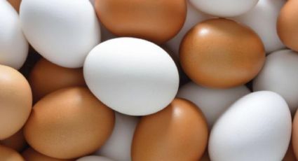 ¿Huevo blanco o de color? La verdad detrás del mito más común en la cocina
