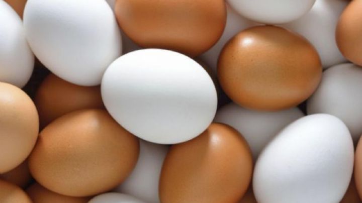 ¿Huevo blanco o de color? La verdad detrás del mito más común en la cocina