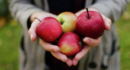 Conoce los beneficios de incorporar una manzana en tu alimentación habitual