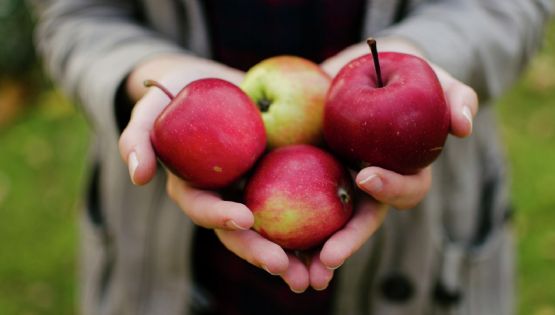 Conoce los beneficios de incorporar una manzana en tu alimentación habitual