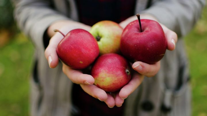 Conoce los beneficios de incorporar una manzana en tu alimentación habitual