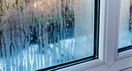 Ventanas que no se empañan: el secreto para ver claro incluso en los días más fríos